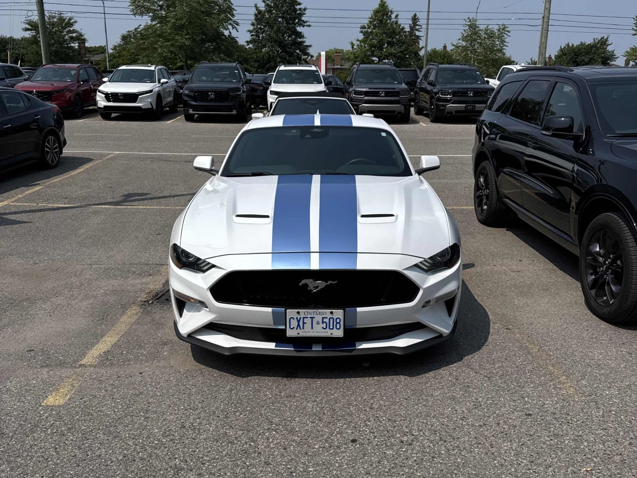 Ford Mustang GT* CARFAX* АВТОФИНАНСИРАНЕ БЕЗ ПЪРВОНАЧАЛНА ВНОСК - изображение 6