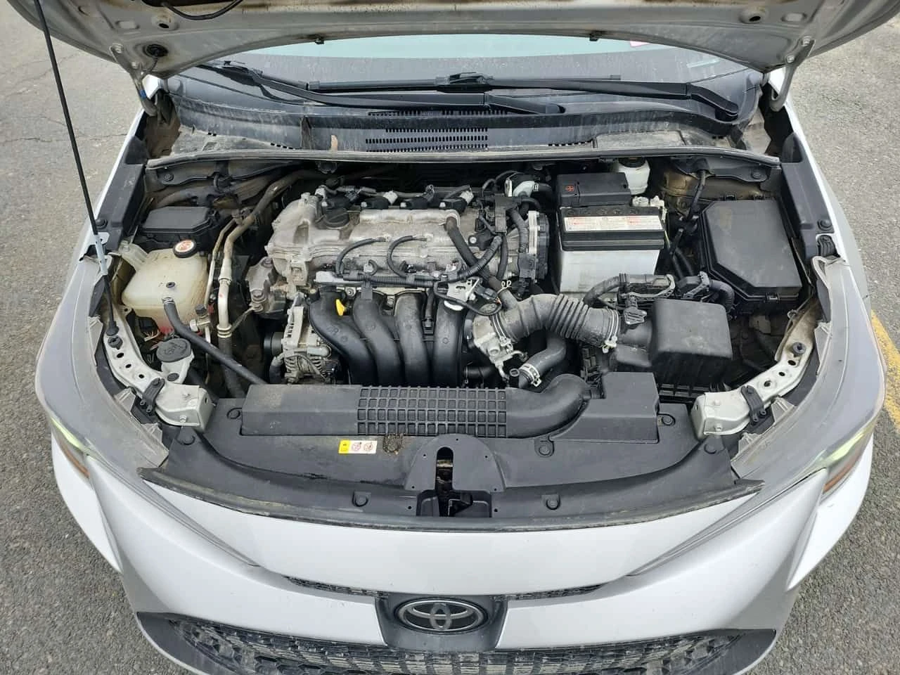 Toyota Corolla L| ��������| CARFAX|  | Mobile.bg � ����������� 5