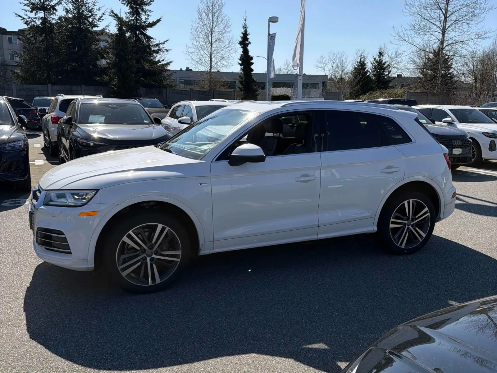 Audi Q5 * Technik * CARFAX * S-LINE * HEAD-UP * 360, снимка 3 - Автомобили и джипове - 54143958