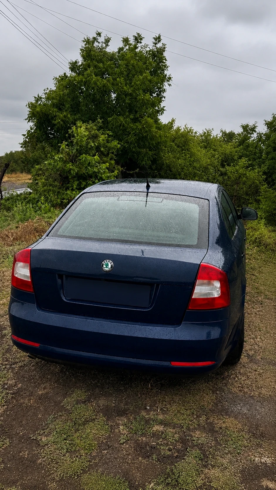 Skoda Octavia 1.6 TDI, снимка 2 - Автомобили и джипове - 55123996