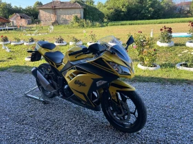 ����� �� �������� �� Kawasaki Ninja 300���. �2