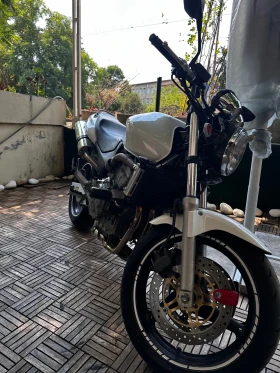     Honda Hornet