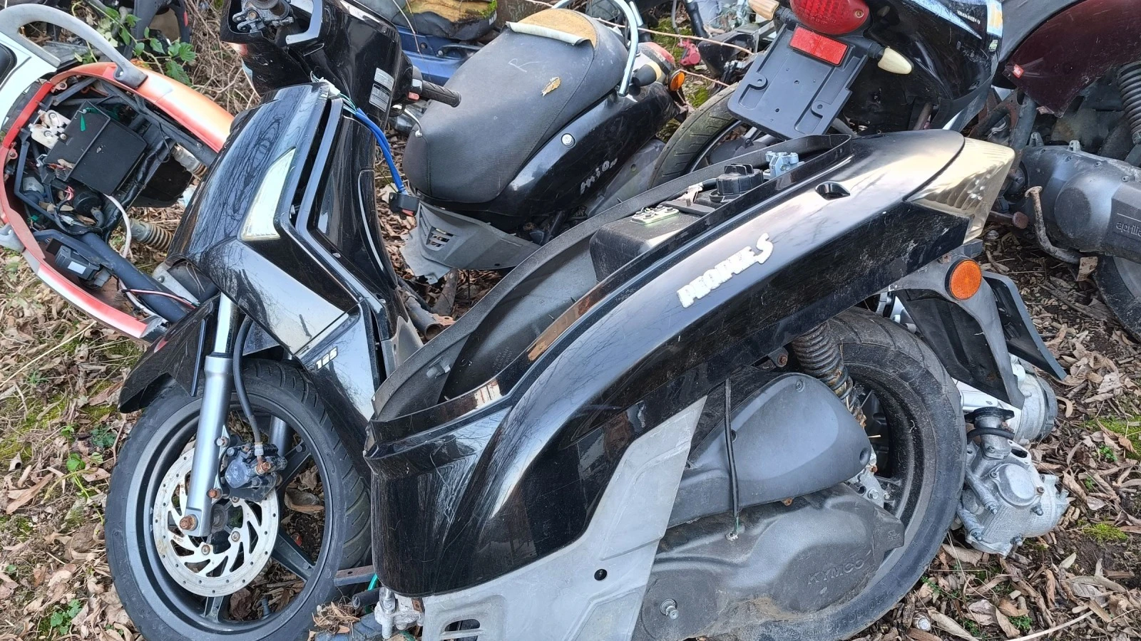    Kymco Agility 504t | Mobile.bg   1