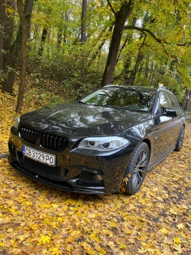BMW 525 3.0D N57, снимка 5