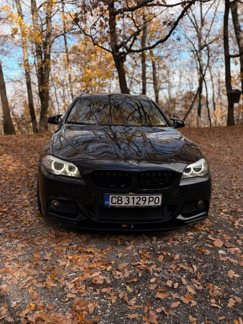 BMW 525 3.0D N57, снимка 2 - Автомобили и джипове - 52891378