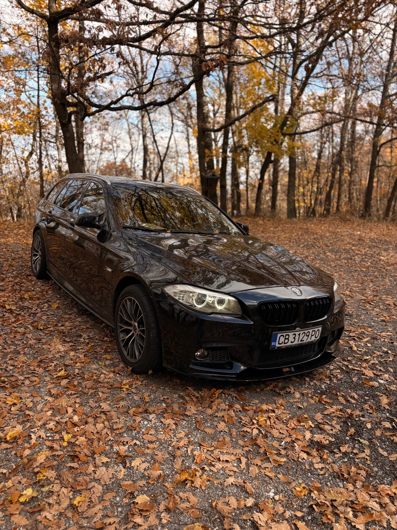 BMW 525 3.0D N57, снимка 1