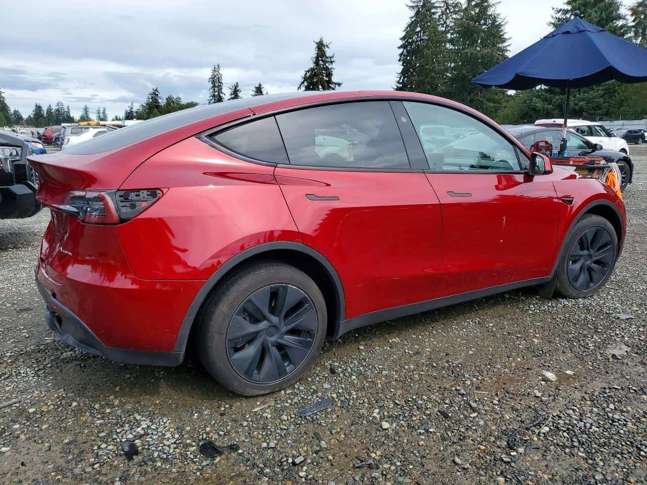 Tesla Model Y Long Range / Carfax / Застраховател , снимка 3 - Автомобили и джипове - 56168964
