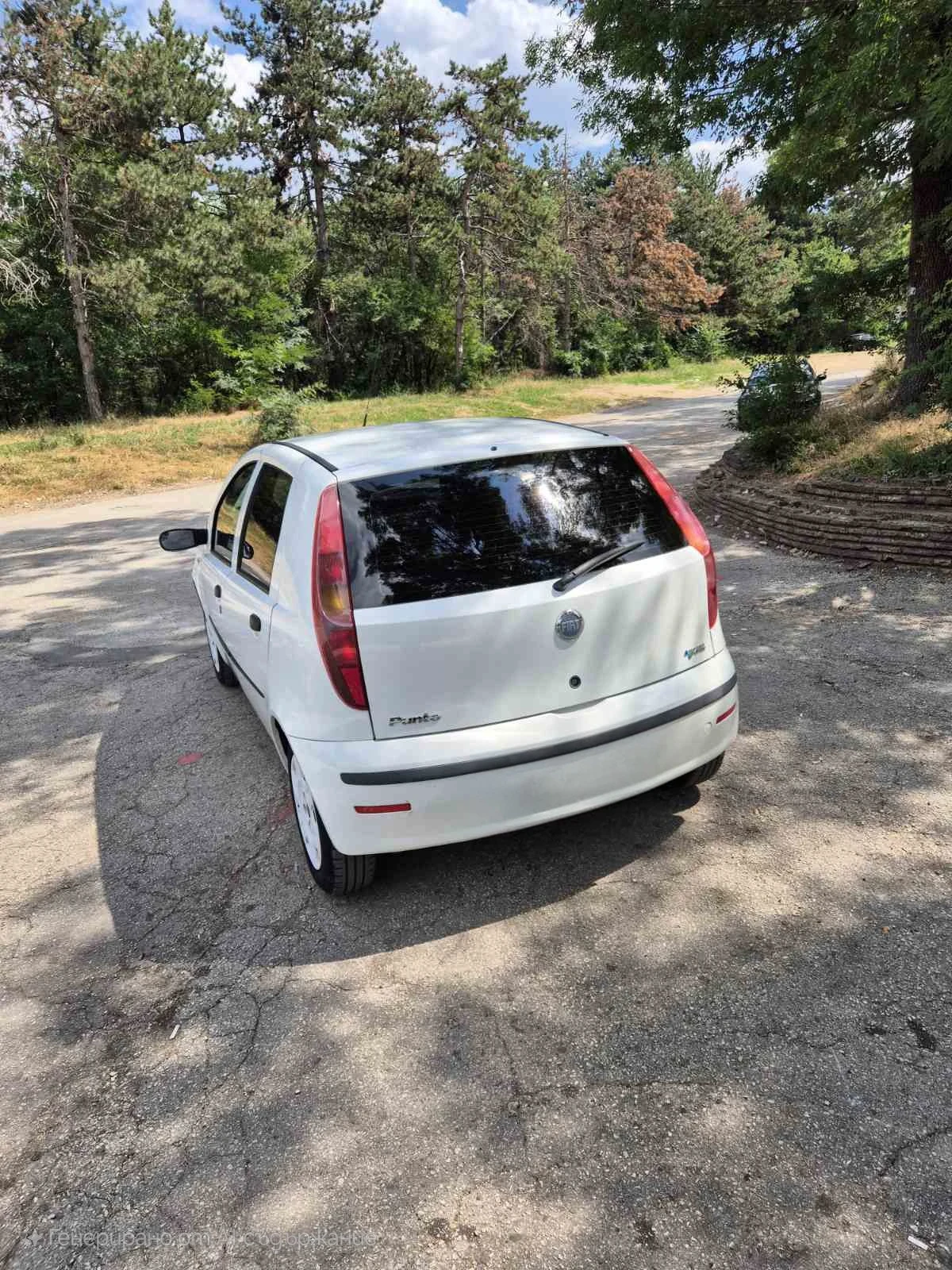 Fiat Punto  - изображение 6