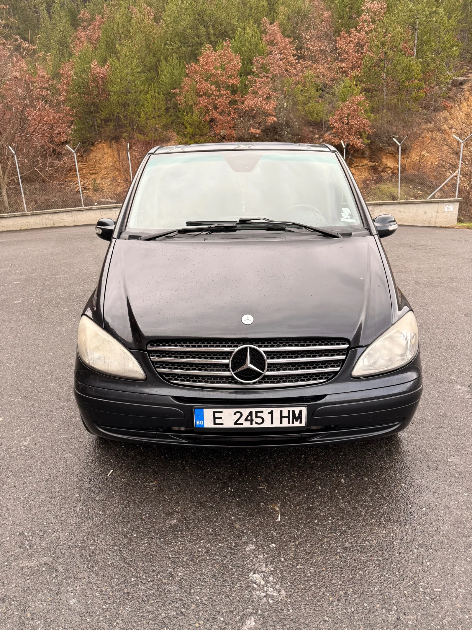 Mercedes-Benz Viano Extra Long - изображение 2