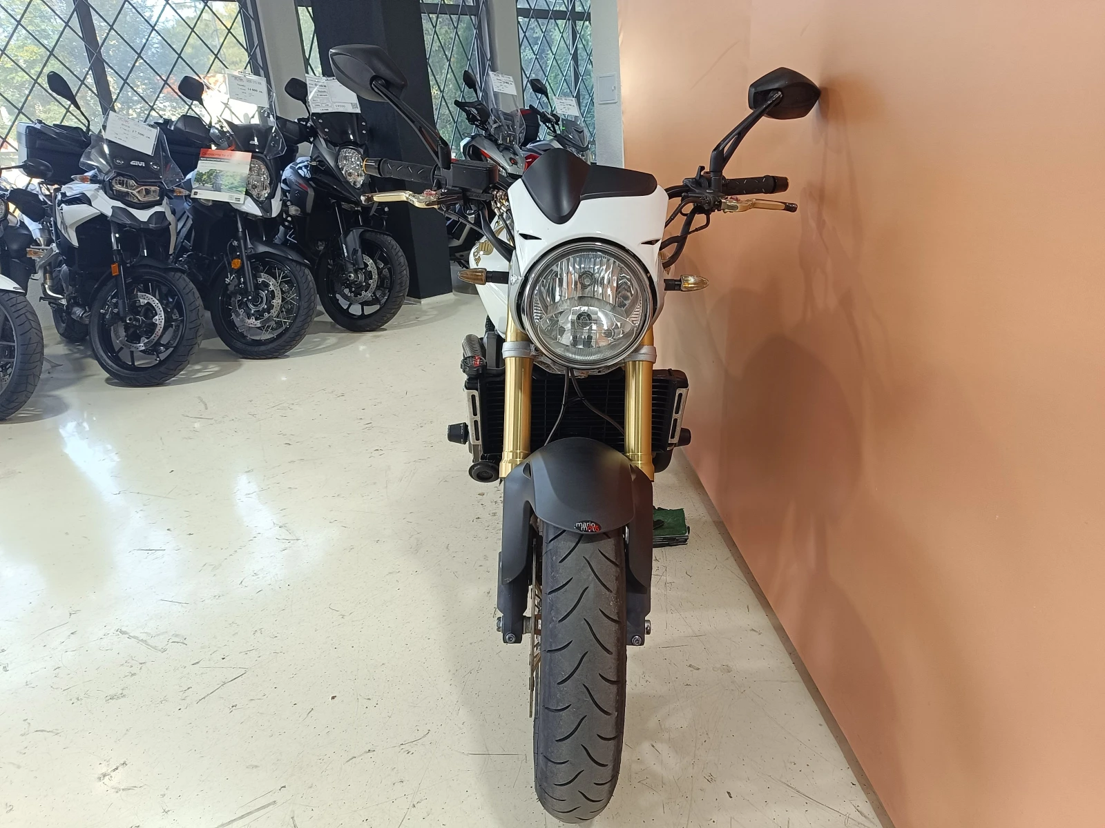 Honda Hornet 600 - изображение 5