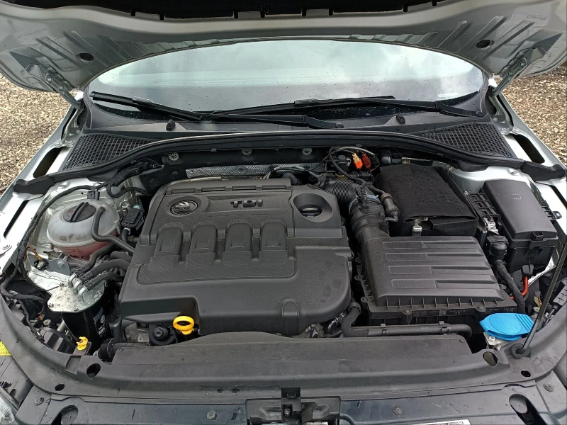 Skoda Octavia Scout 4x4 DSG , снимка 15 - Автомобили и джипове - 50061567