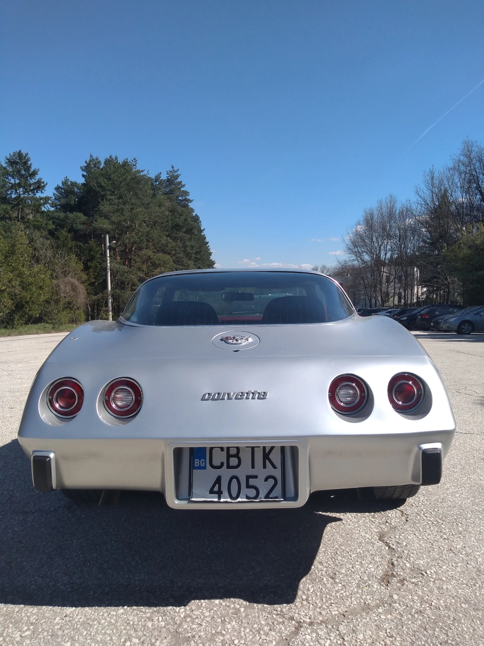 Chevrolet Corvette C3, снимка 7 - Автомобили и джипове - 54789993