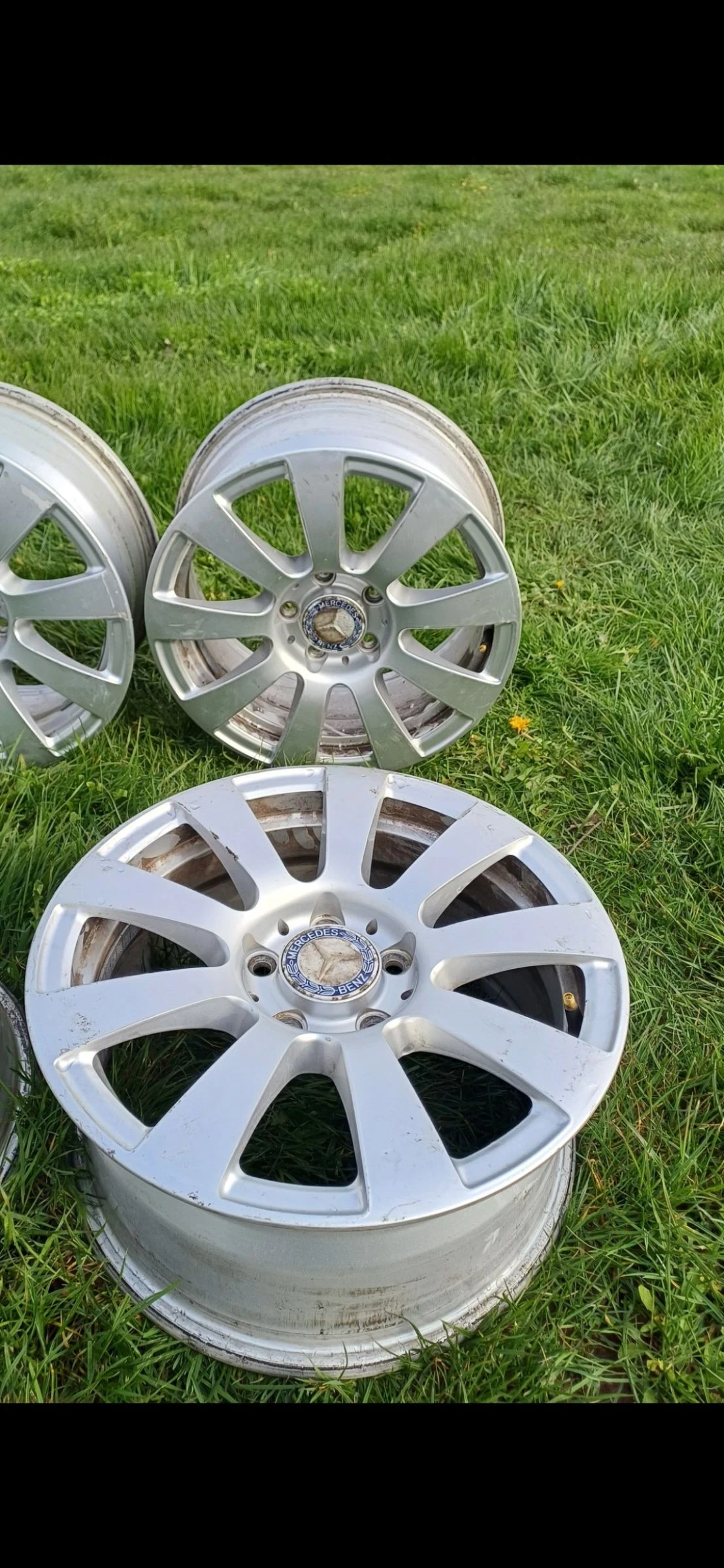 ������ | Mobile.bg � ����������� 3