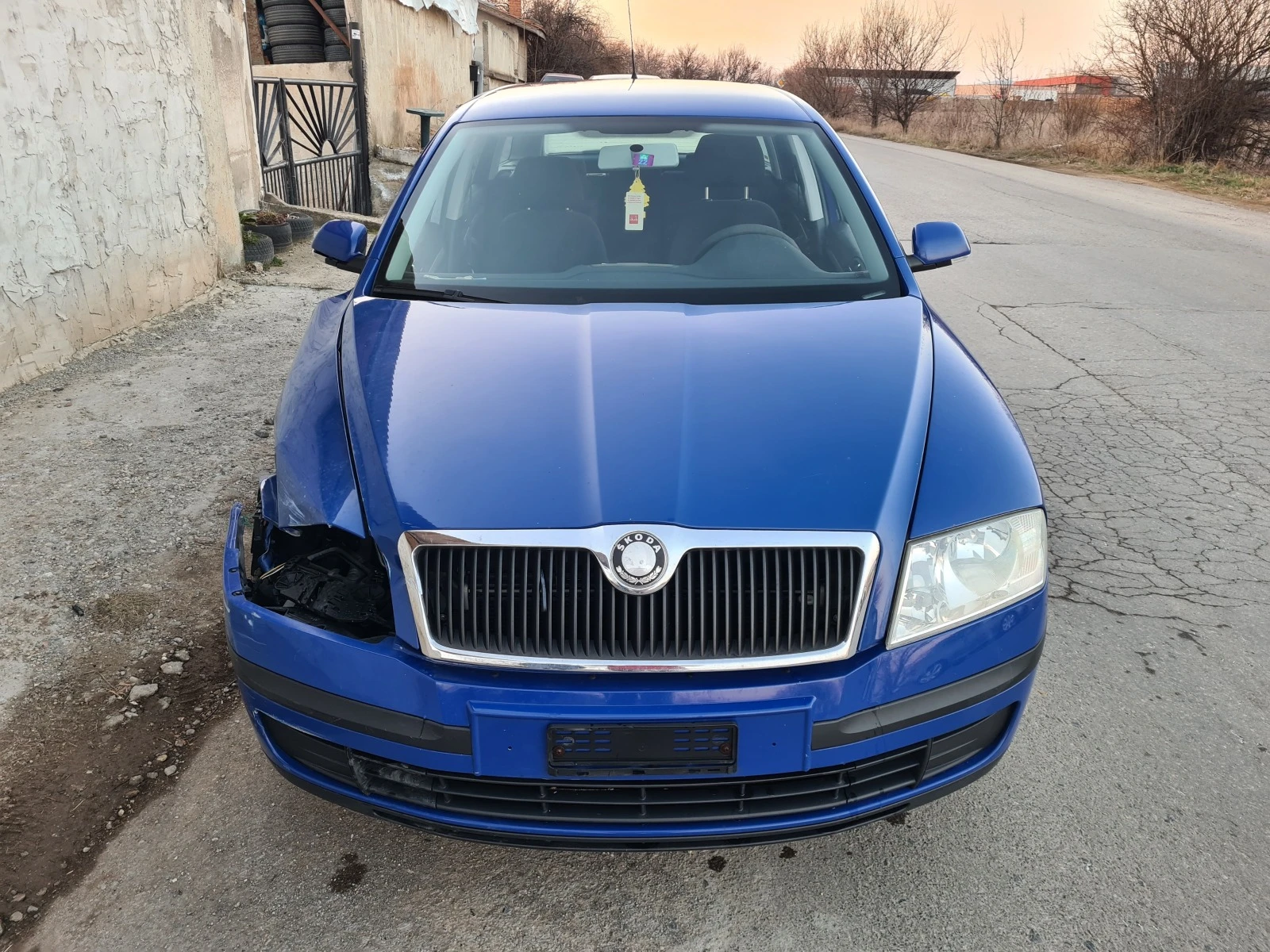Skoda Octavia 1.9TDI 4X4 BLS | Mobile.bg   1