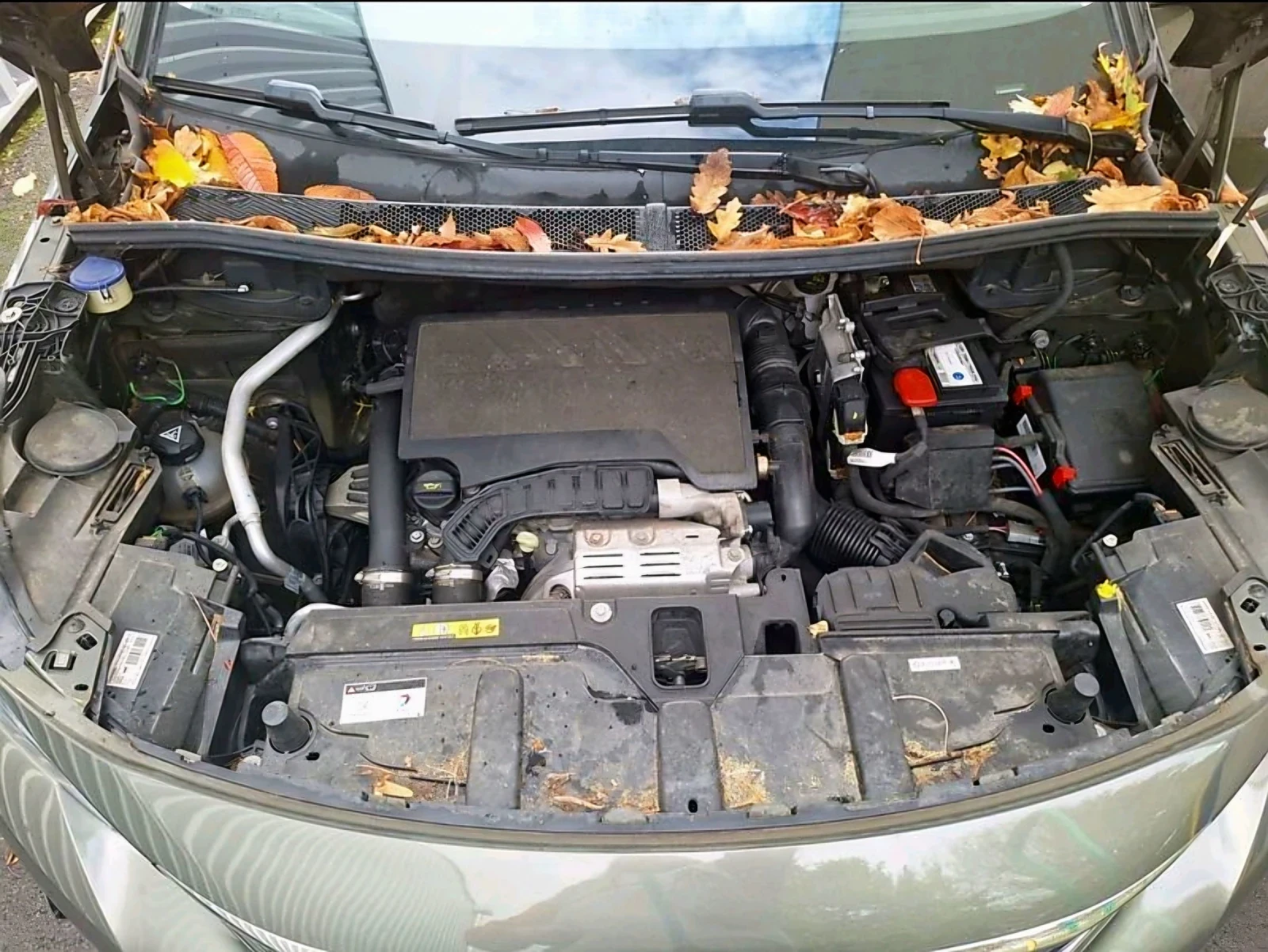 Peugeot 3008 Allure  | Mobile.bg   7