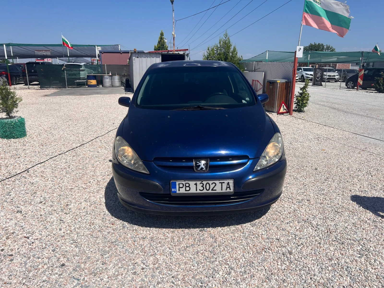 Peugeot 307 2.0 HDI 90кс, снимка 3 - Автомобили и джипове - 54986191