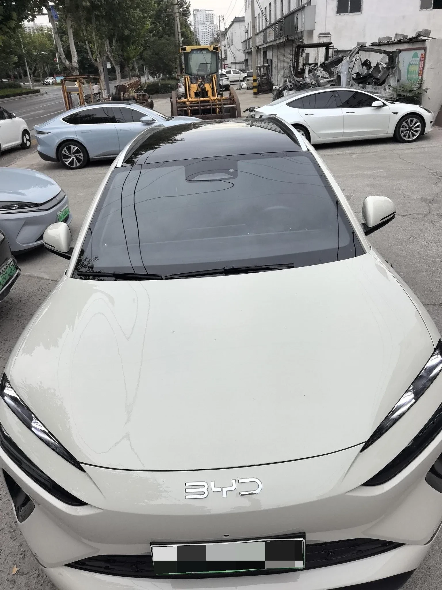BYD Sea Lion 06 | 360 ������ | �������� | KEYLESS |  | Mobile.bg � ����������� 9