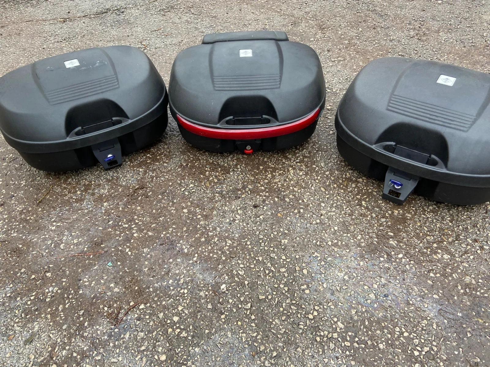 Honda Cbf 600 - изображение 3