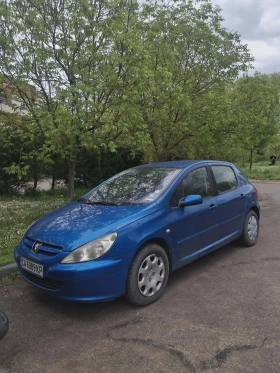 Peugeot 307, снимка 1