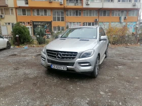 Mercedes-Benz ML 250 BlueTech