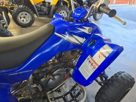 Yamaha Raptor 350cc, Special Edition, 2008г., снимка 10