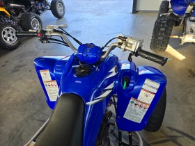 Yamaha Raptor 350cc, Special Edition, 2008г. | Auto.bg — изображение 12