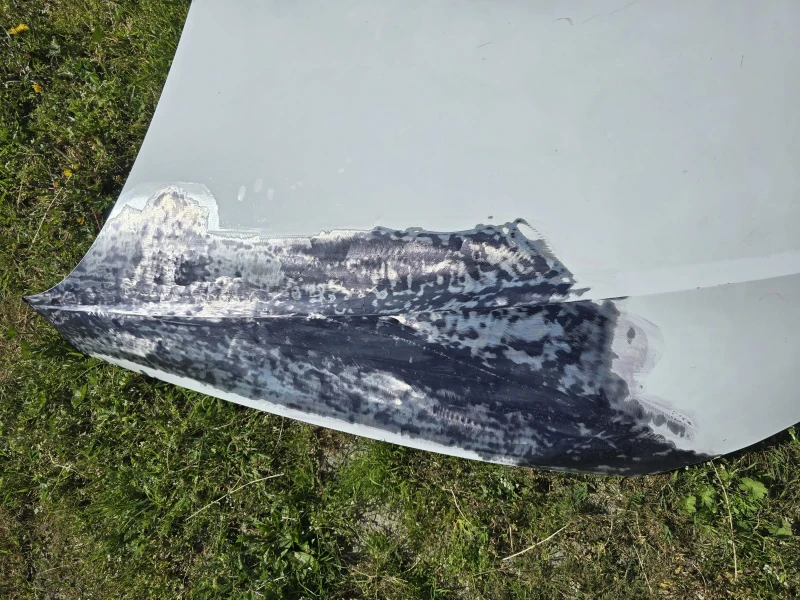 Audi A5, снимка 5 - Автомобили и джипове - 50025577