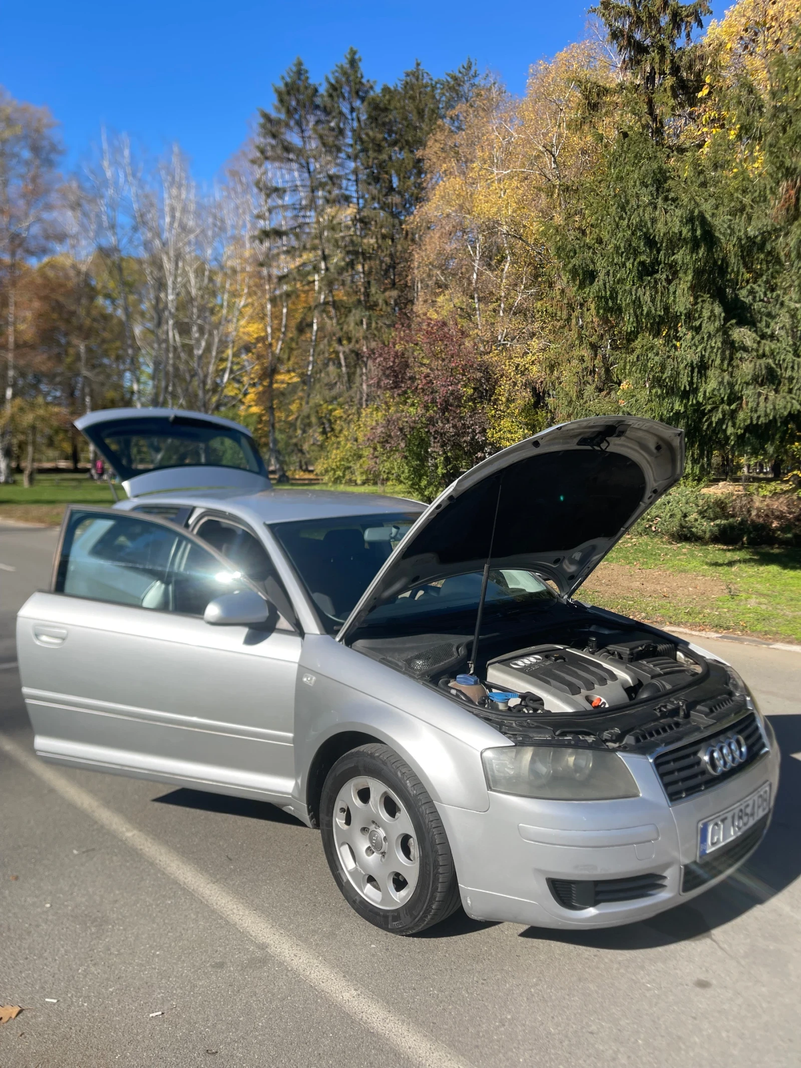 Audi A3, снимка 12 - Автомобили и джипове - 54637959