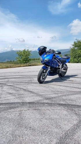     Suzuki SV 650s