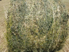 Балировачка Друга марка Рулонна, снимка 8