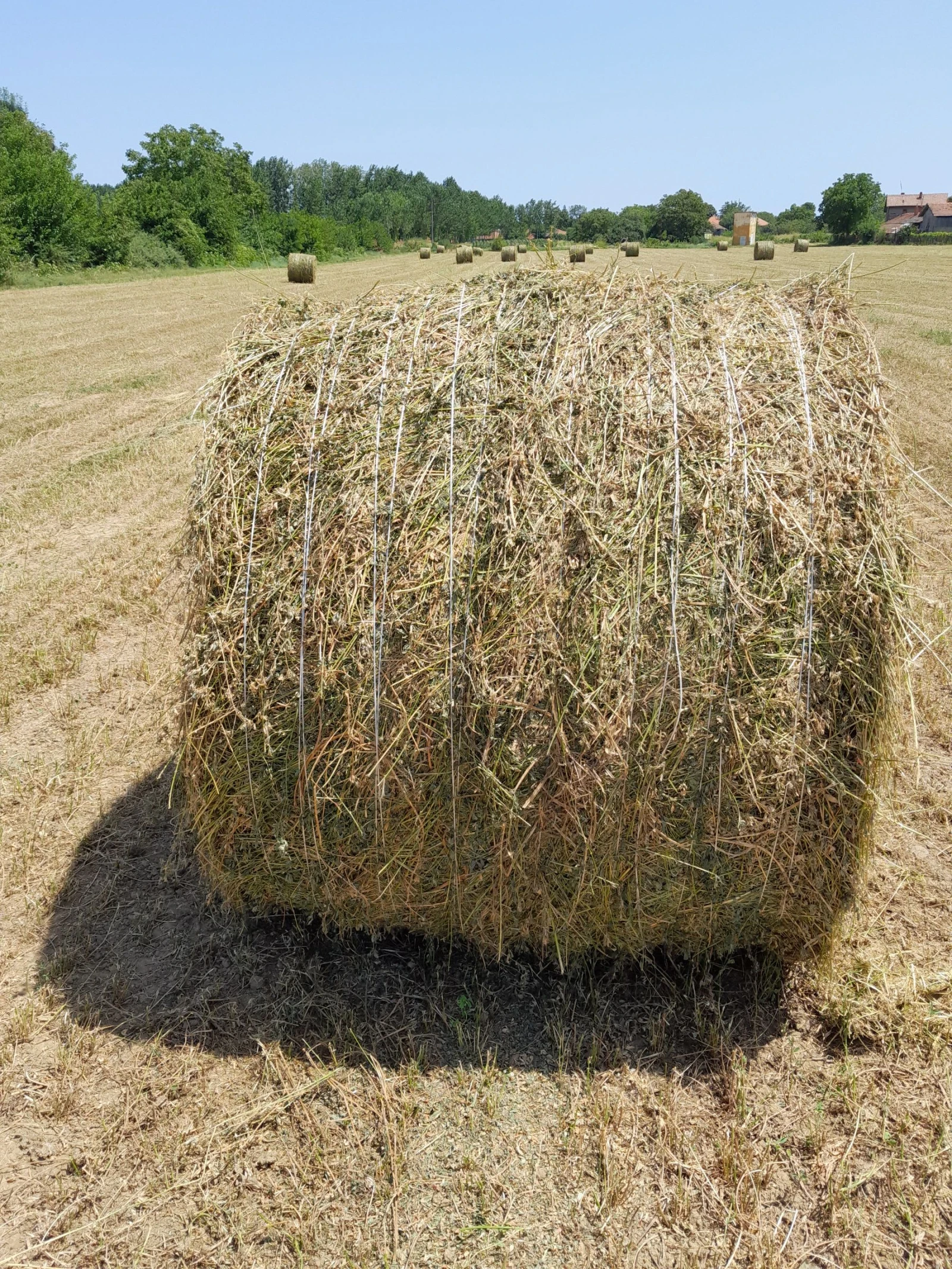 Балировачка Друга марка Рулонна - изображение 6