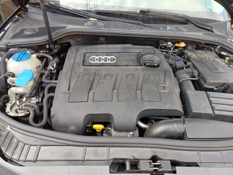 Audi A3 1.6 TDI, снимка 9 - Автомобили и джипове - 52346908