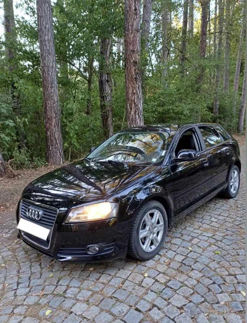 Audi A3 1.6 TDI, снимка 2 - Автомобили и джипове - 52346908