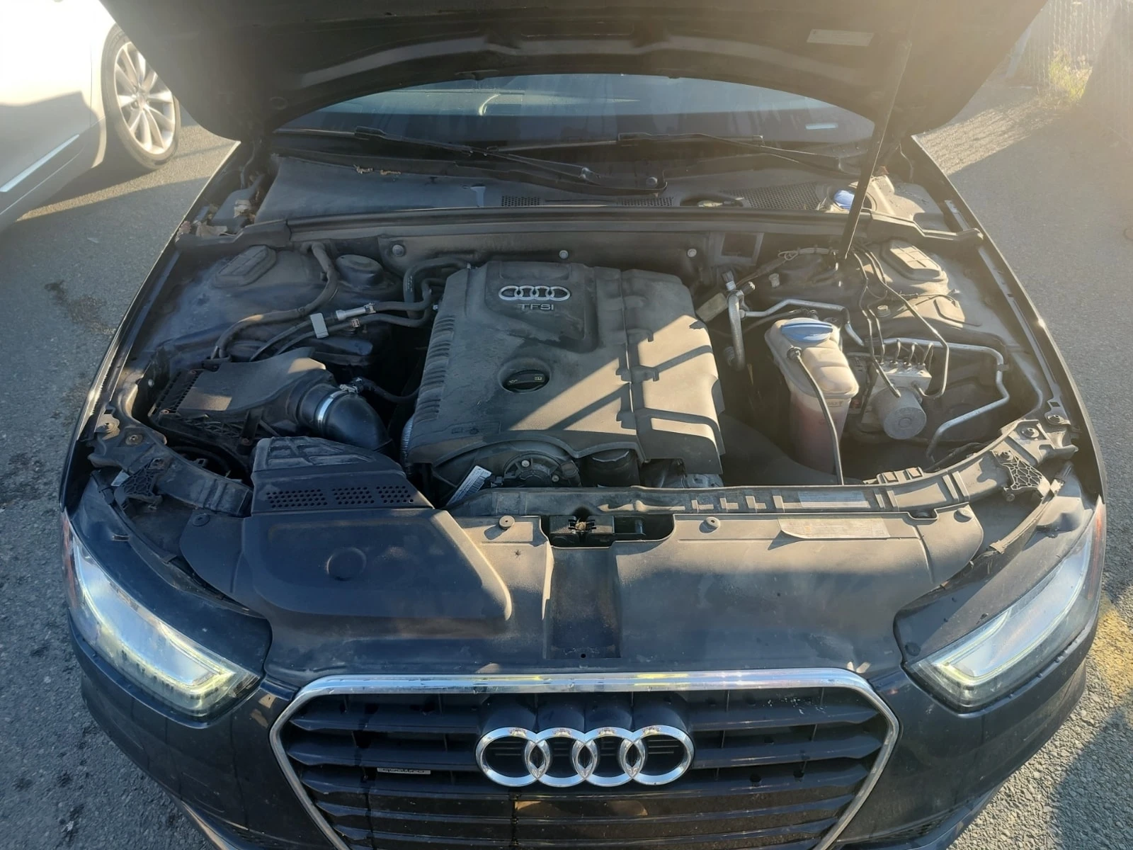 Audi A4  Quattro Progressiv Plus / CARFAX , снимка 16 - Автомобили и джипове - 55846732