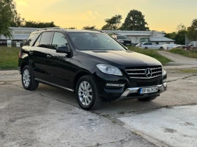     Mercedes-Benz ML 250