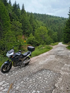 Yamaha Tdm 900, снимка 7