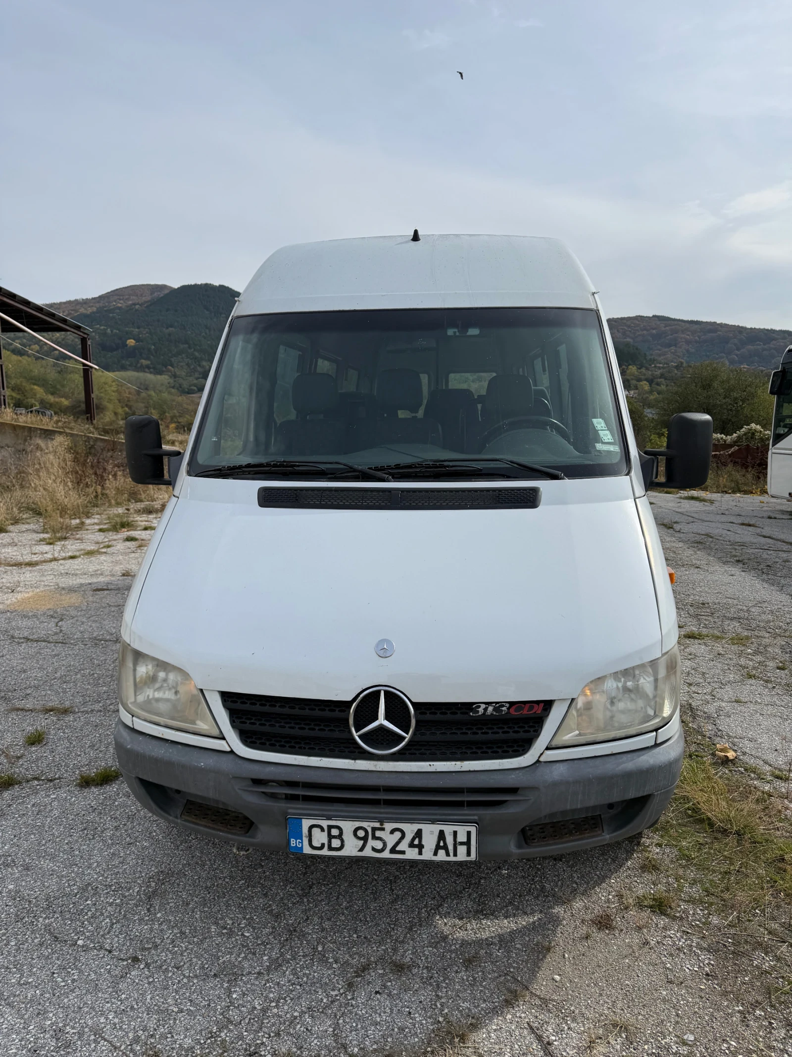 Mercedes-Benz Sprinter 313 CDI, снимка 1