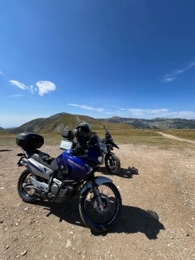 Honda Xlv Honda Transalp XLV 650 | Mobile.bg � ����� ������ 13