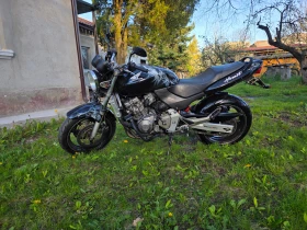 Honda Hornet, снимка 1