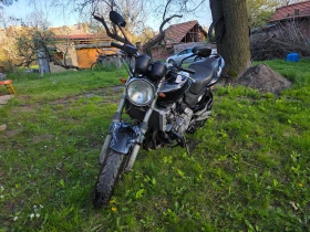 Honda Hornet | Mobile.bg � ����� ������ 2