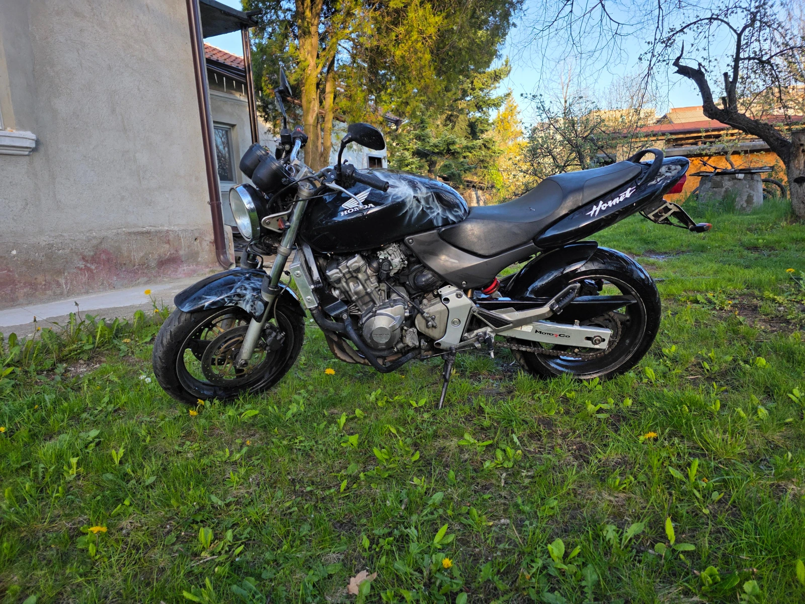 Honda Hornet