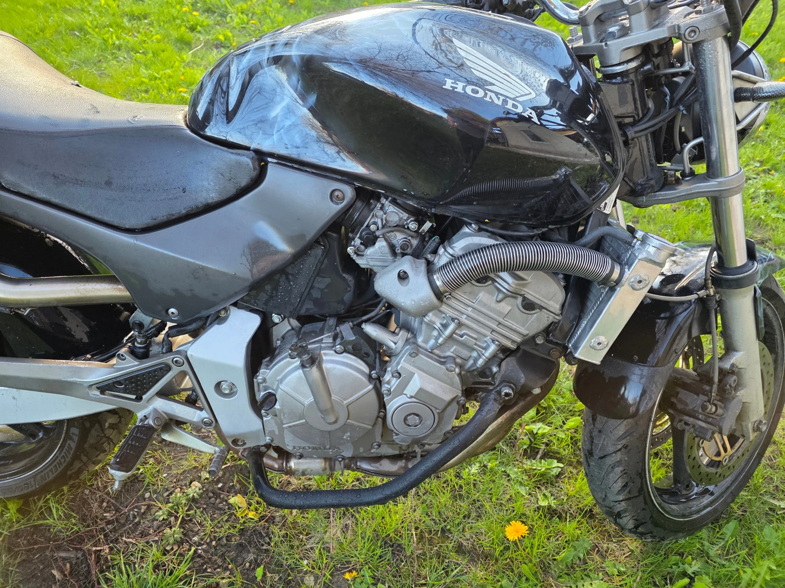 Honda Hornet, снимка 6 - Мотоциклети и мототехника - 54313855