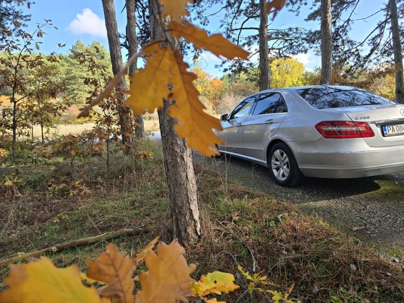 Mercedes-Benz E 250, снимка 7 - Автомобили и джипове - 52351345