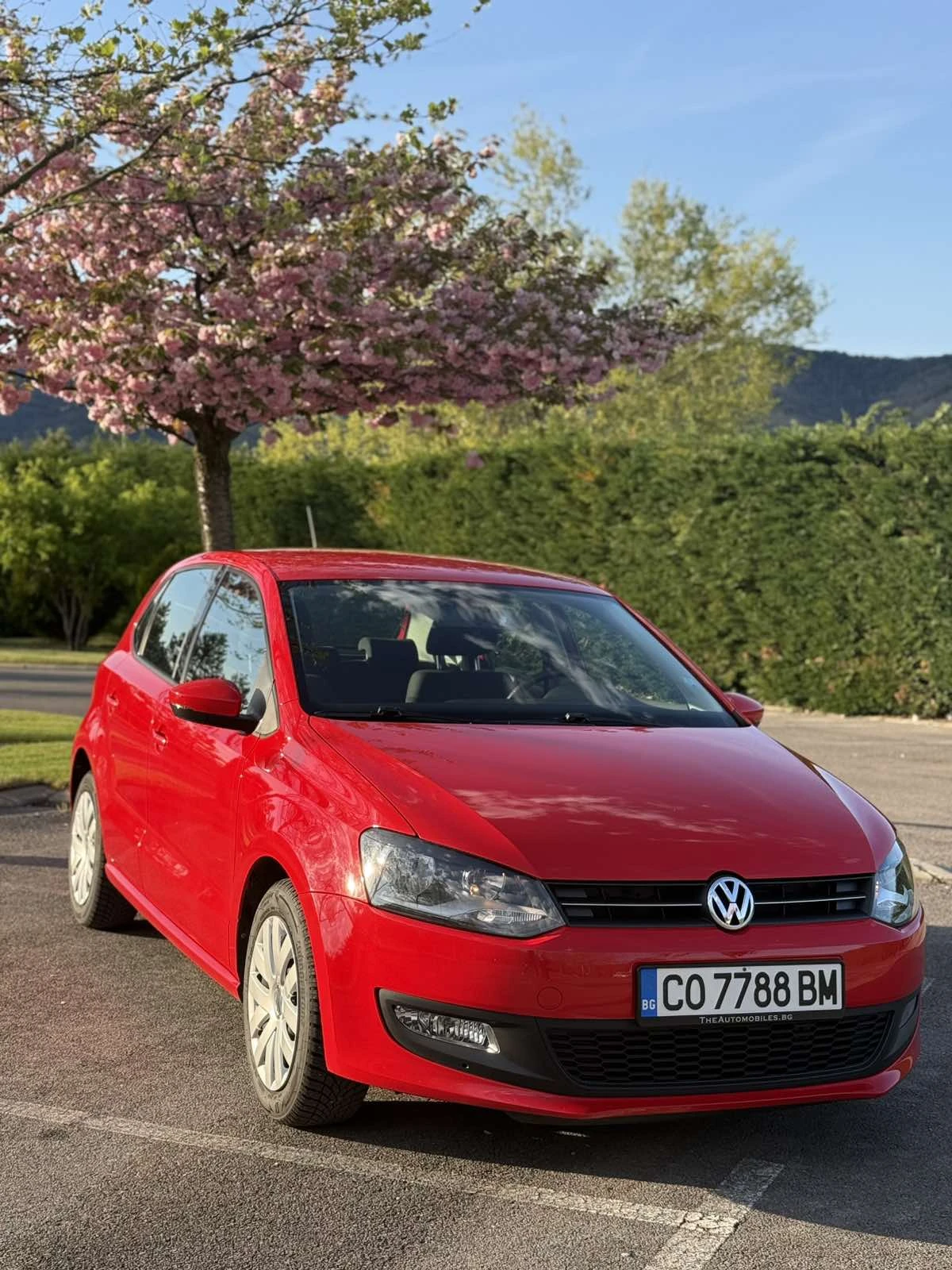VW Polo