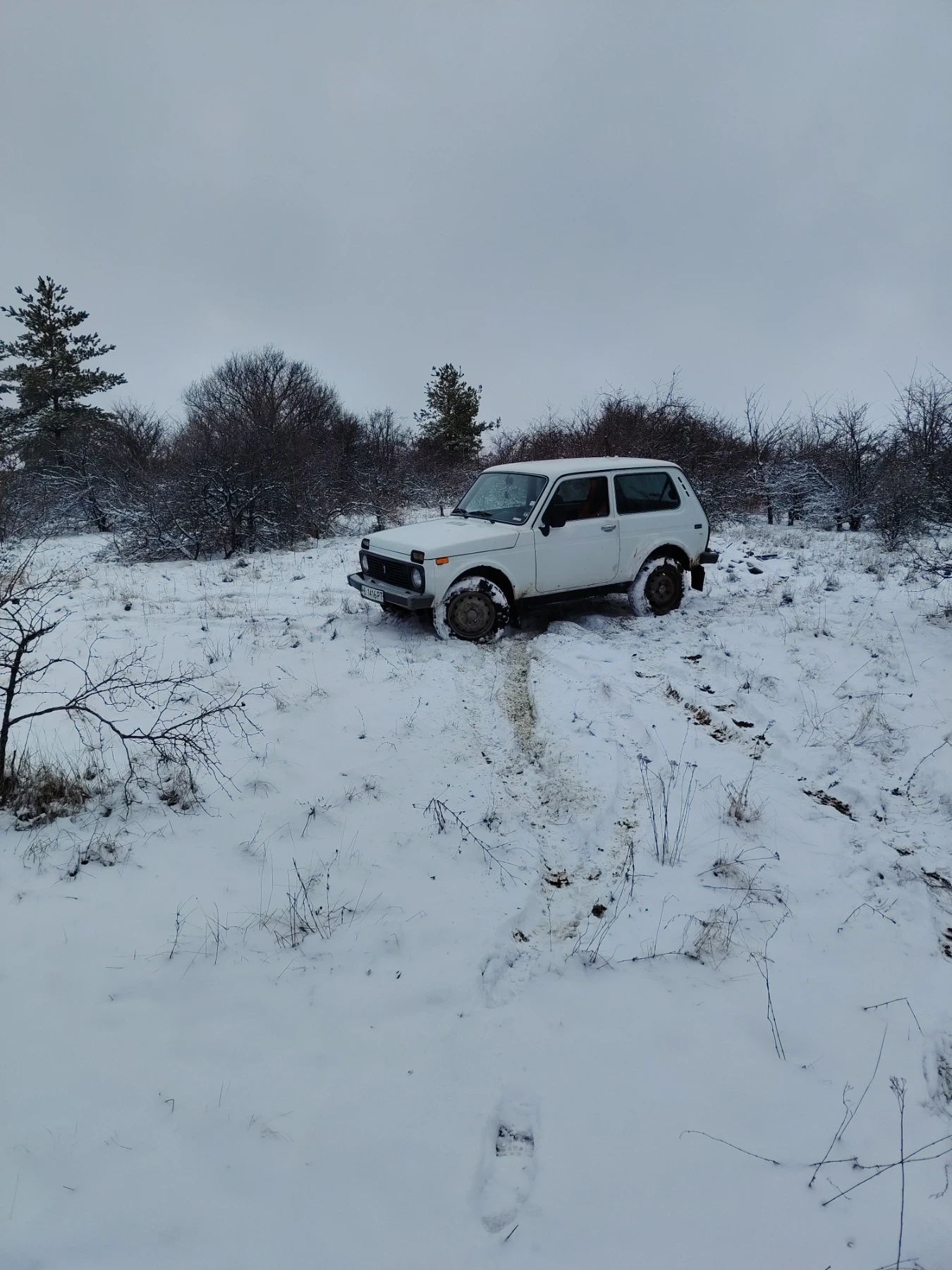 Lada Niva 1.7 | Mobile.bg � ����������� 5