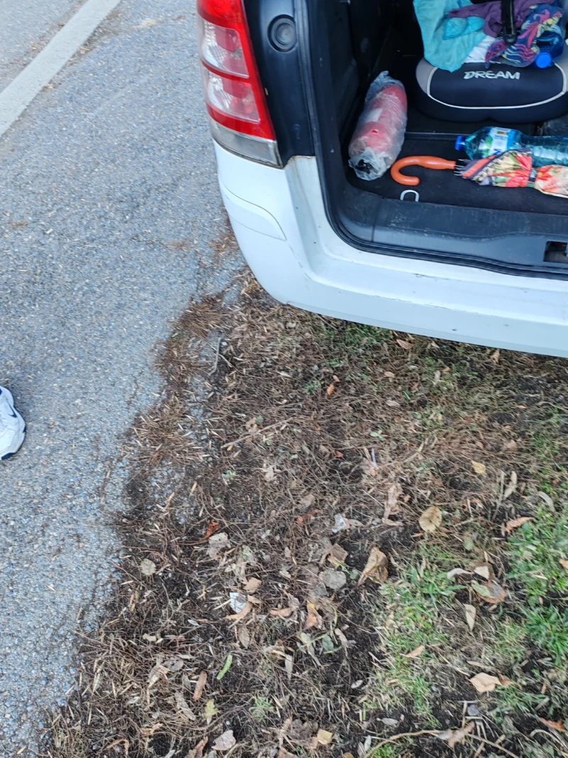 Opel Zafira 1.9, снимка 12 - Автомобили и джипове - 53430069