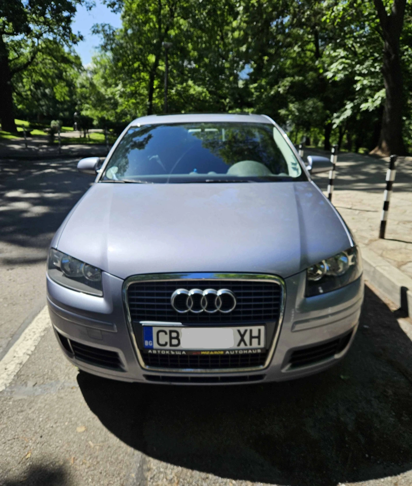 Audi A3 Audi A3 benzin 1.6i/102hp/2007
