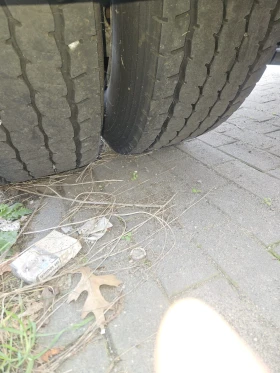 Man Tgx, снимка 8