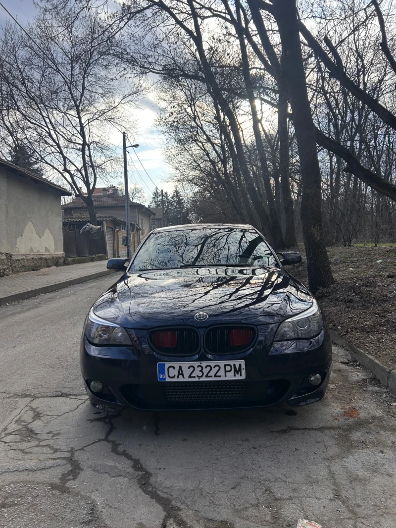 BMW 530 530d, снимка 1 - Автомобили и джипове - 49290710