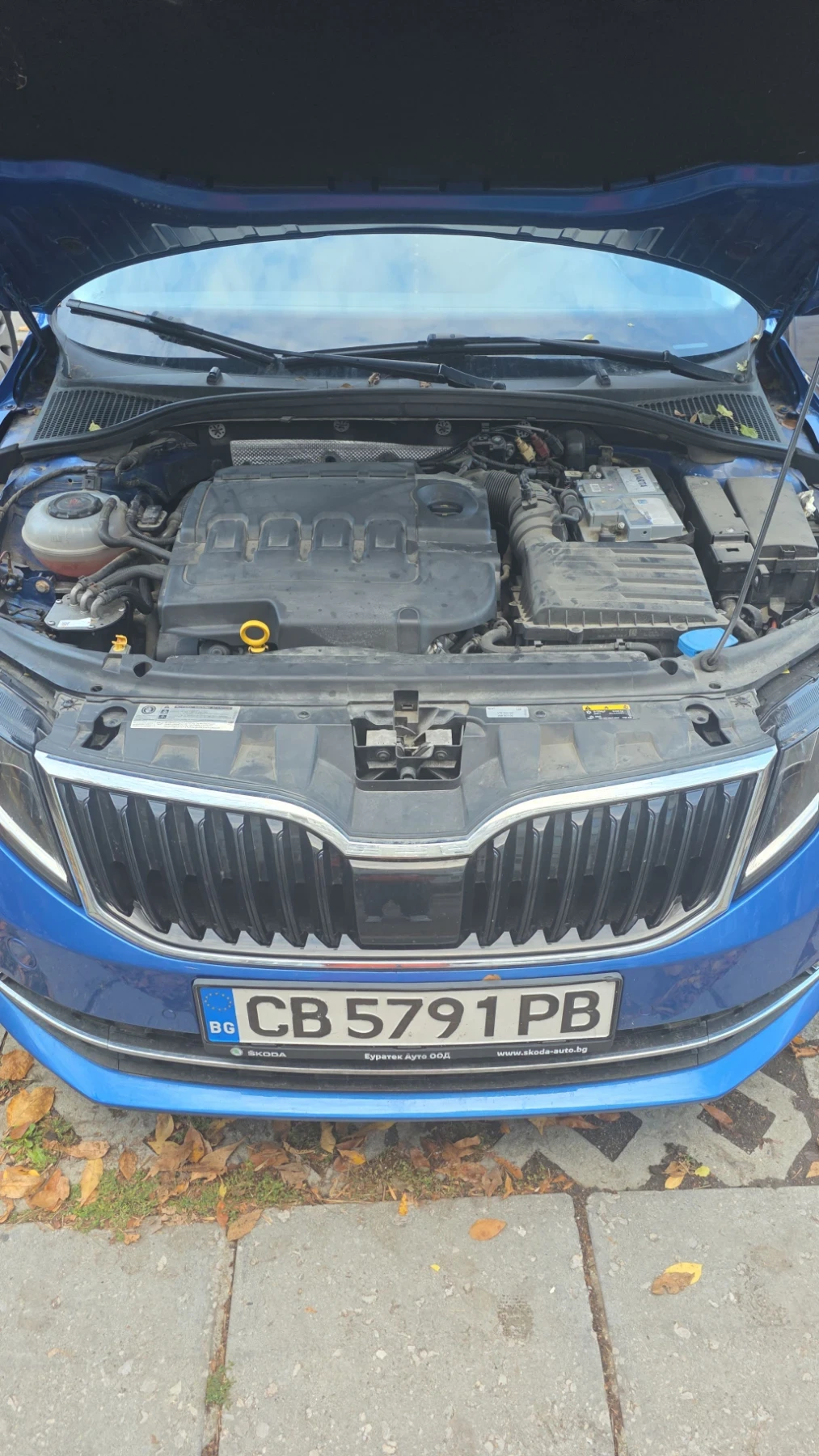 Skoda Octavia Вижън